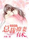 盛爱绝宠:总裁撩妻有术